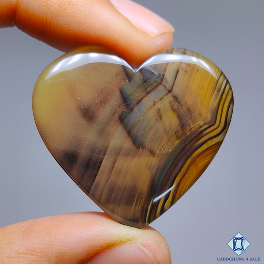 Montana Agate