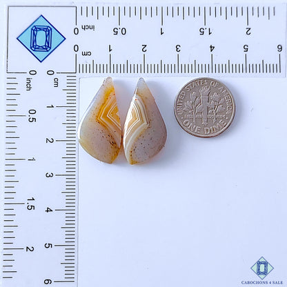 Montana Agate