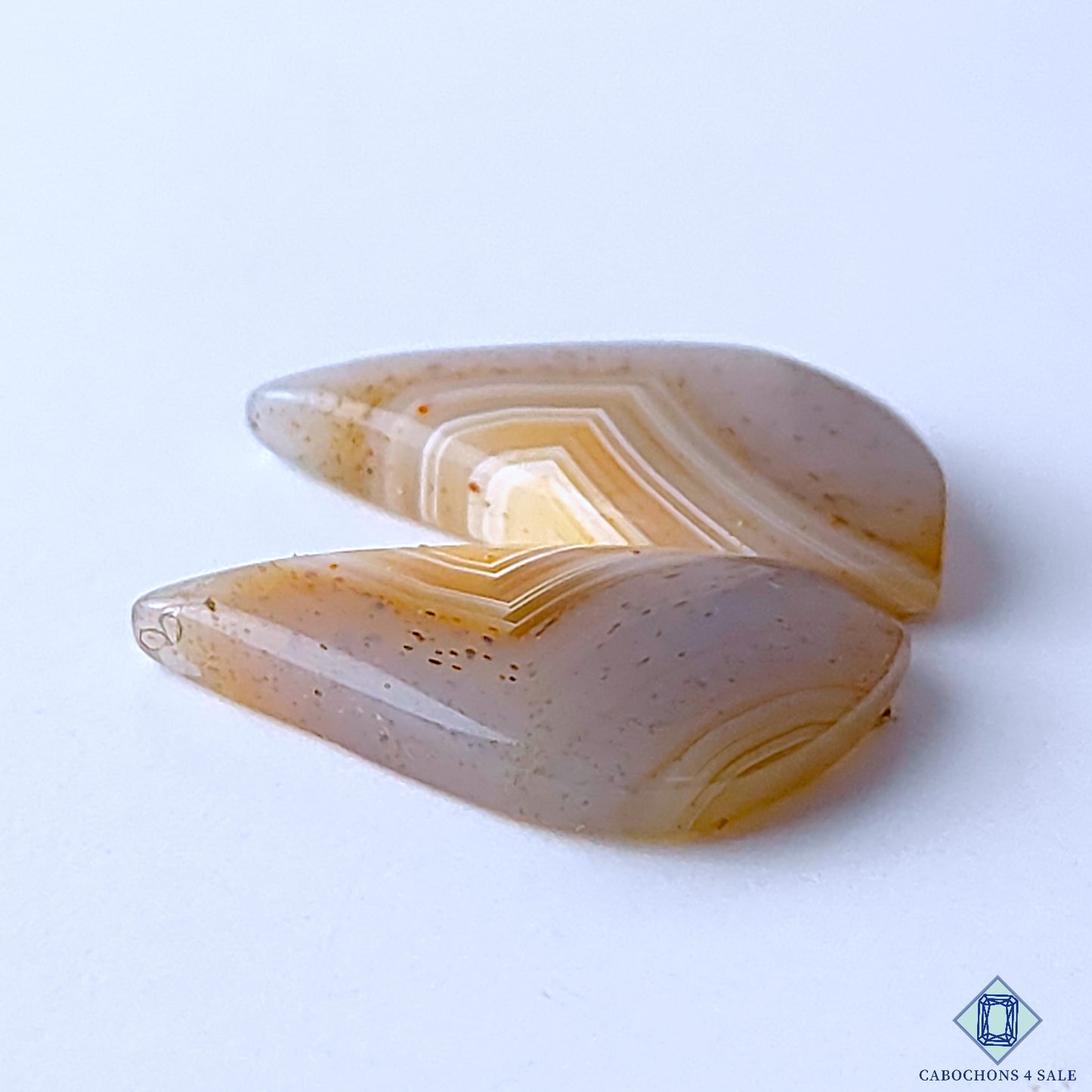 Montana Agate
