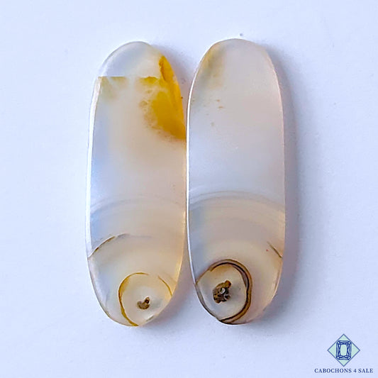 Montana Agate