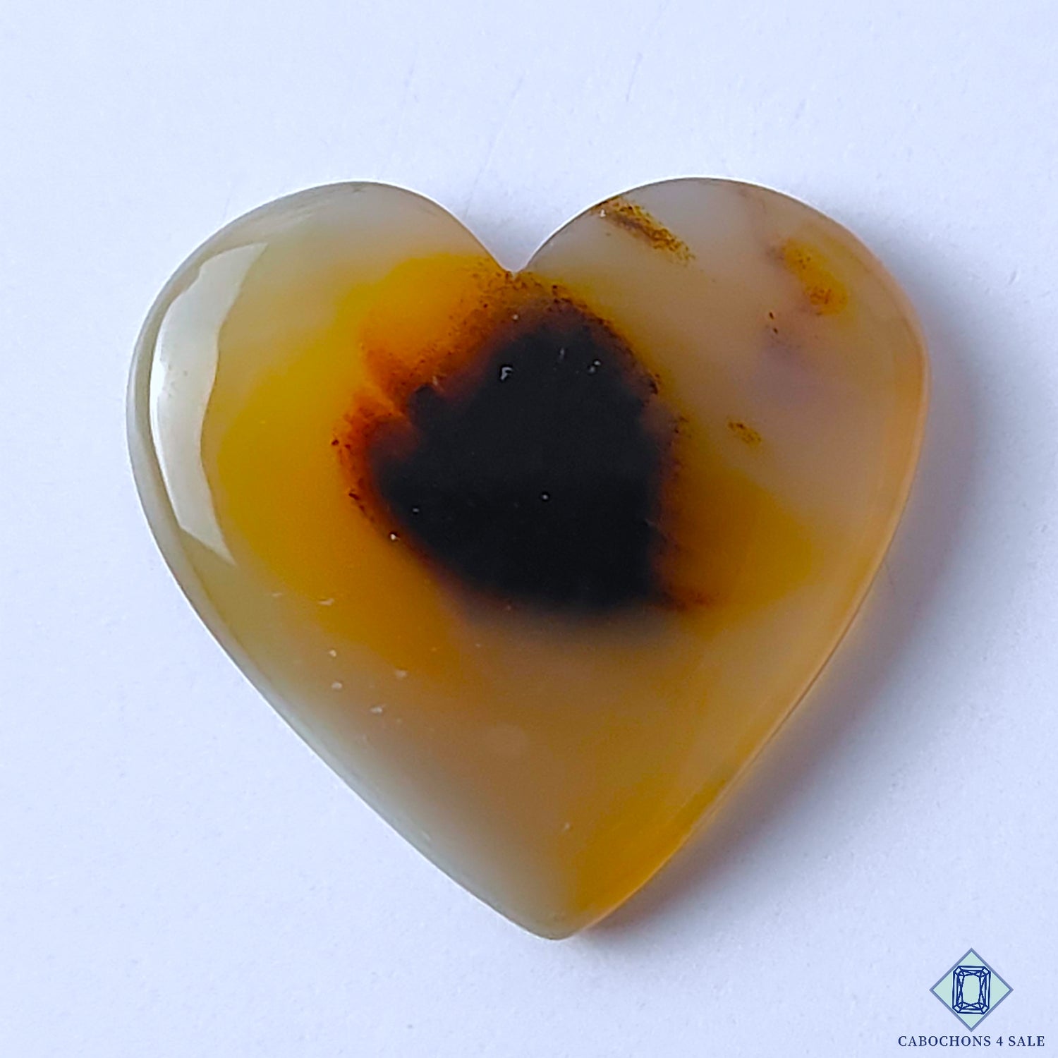 Montana Agate