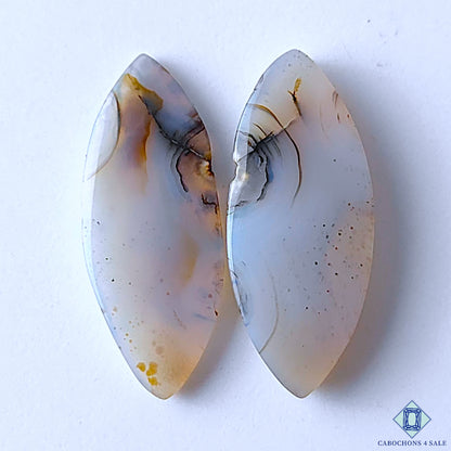 Montana Agate