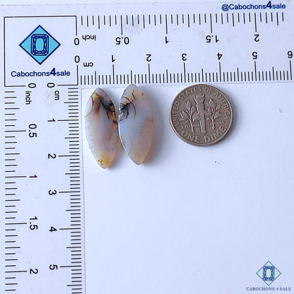 Montana Agate