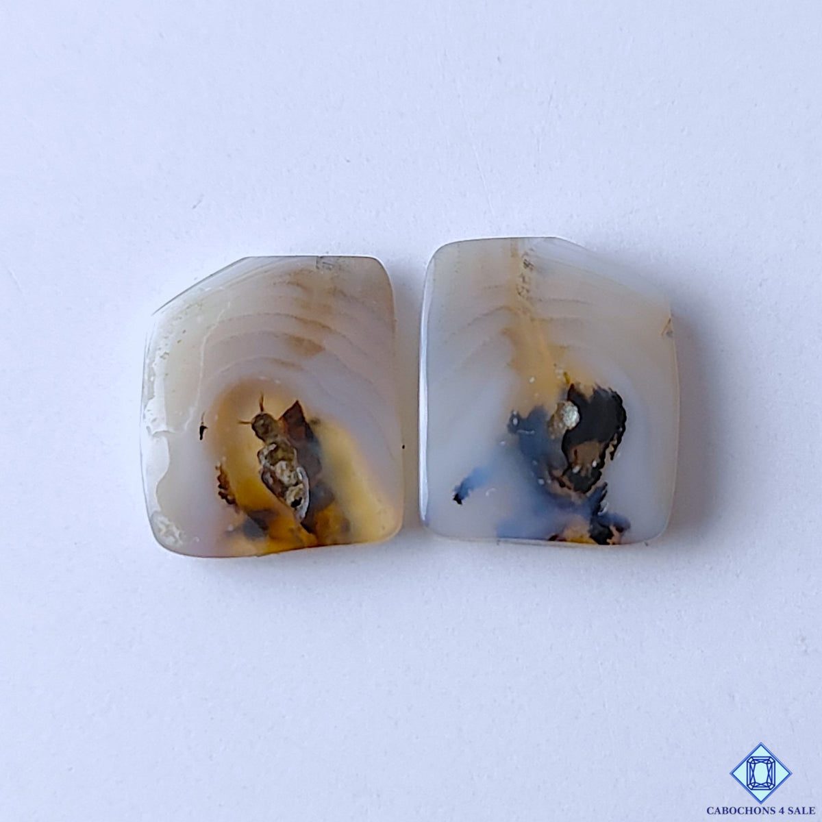 Montana Agate