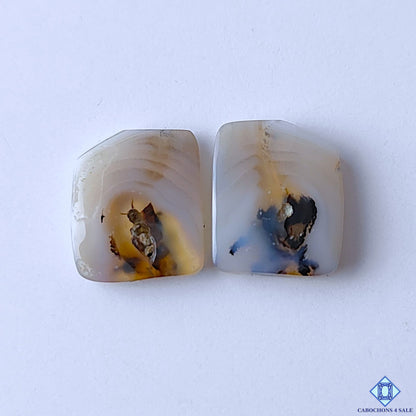 Montana Agate