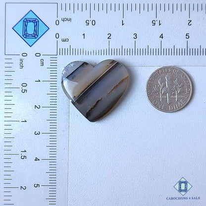 Natural Montana Agate Gemstone  Heart Carvings 24*26*5mm from USA  available for sale