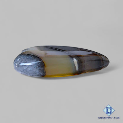 Natural Montana Agate Gemstone  Heart Carvings 24*26*5mm from USA  available for sale