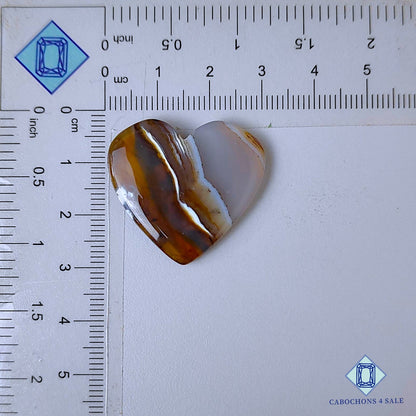 Tallas de corazón de piedra preciosa de ágata de Montana natural de 27 x 29 x 4 mm, disponibles para la venta en EE. UU.