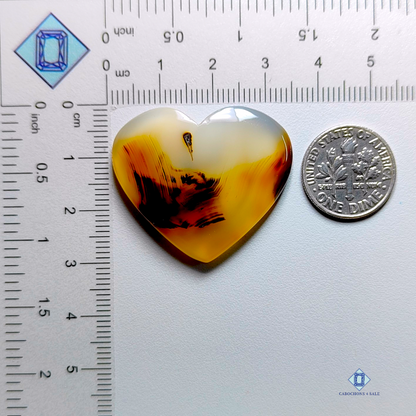 Montana agate-Heart-Cabochons