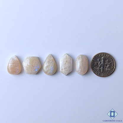 0-Moonstone-C4sw20087-2-Mix_Shape-White-mm-Lots-Translucent-0 
