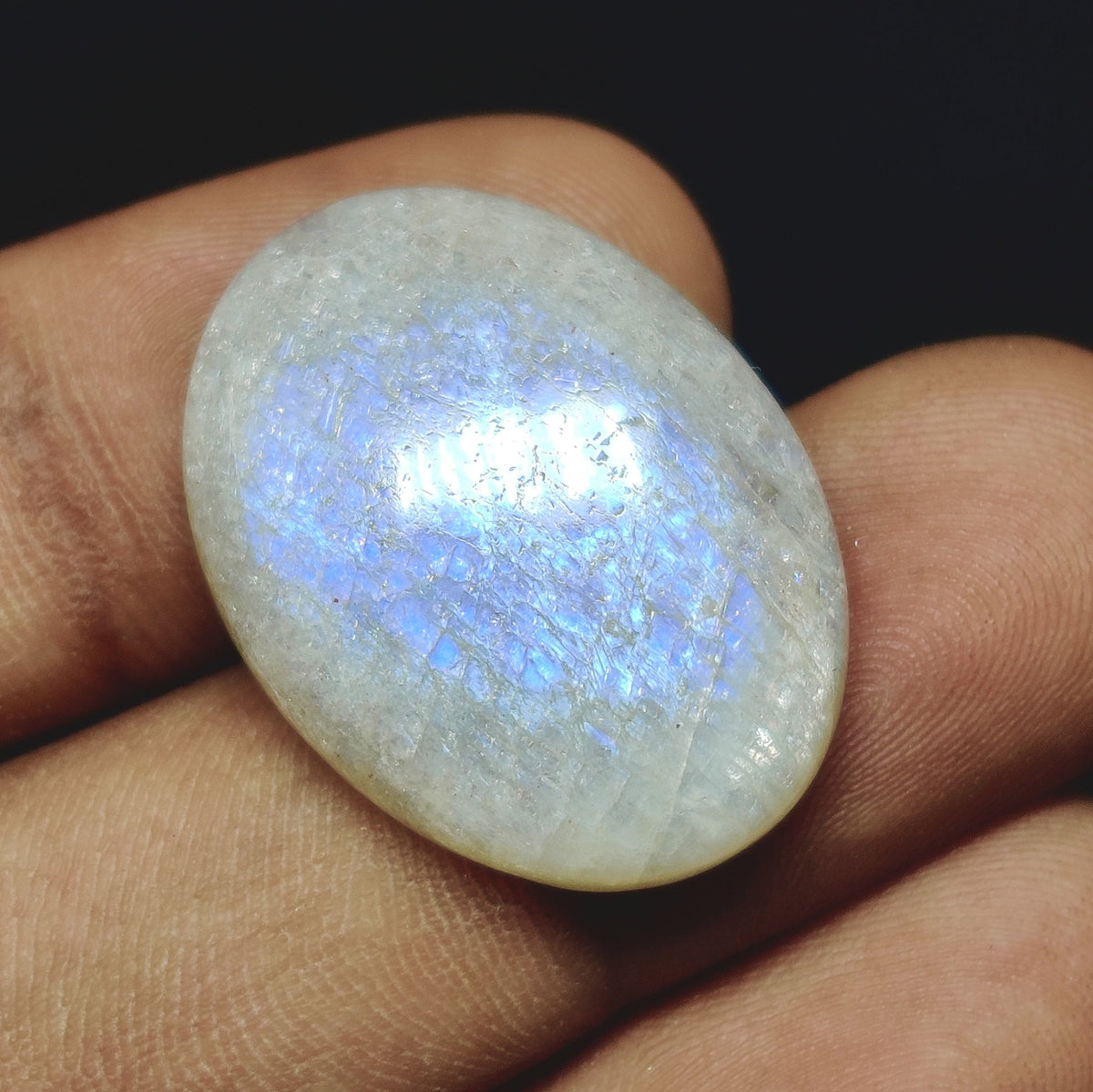 Cabochons4sale oval moonstone cabochon with translucent white body and vibrant blue adularescence held in fingers