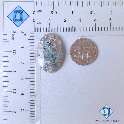 Moss Agate Oval Cabochons 25*16*5mm