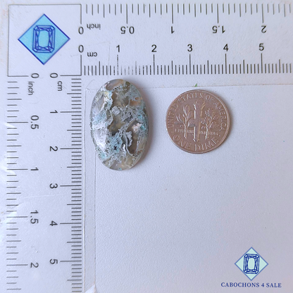 Moss Agate Oval Cabochons 25*15*5mm