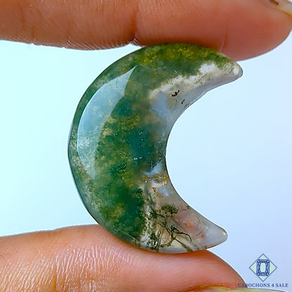 Moss Agate