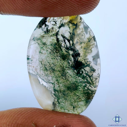 Moss Agate