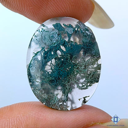 Moss Agate