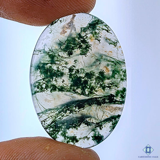 Moss Agate