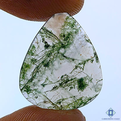 Moss Agate
