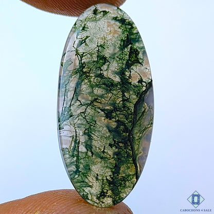 Moss Agate