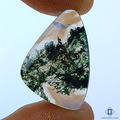 Moss Agate