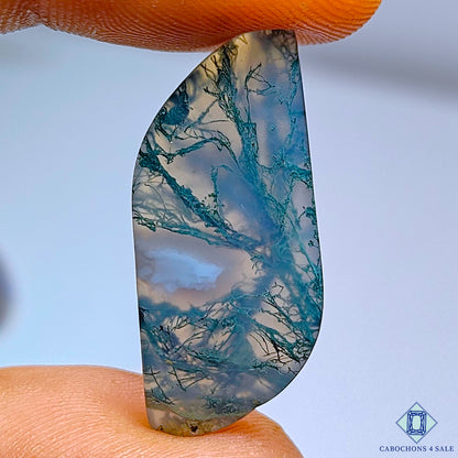 Moss Agate