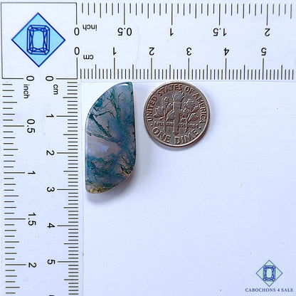 Moss Agate
