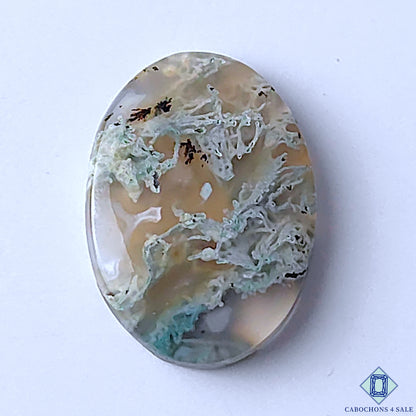 Moss Agate
