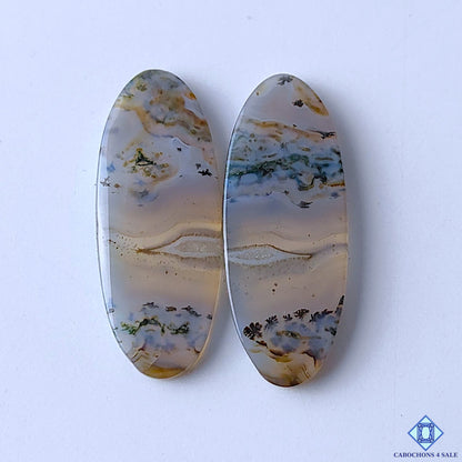 Moss Agate