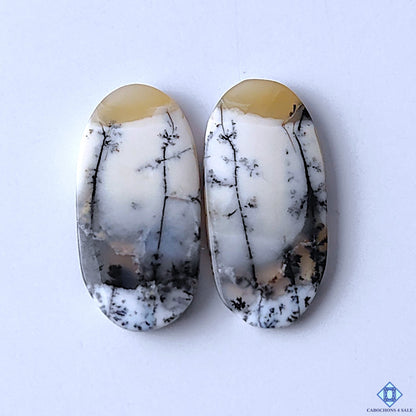 Moss Agate