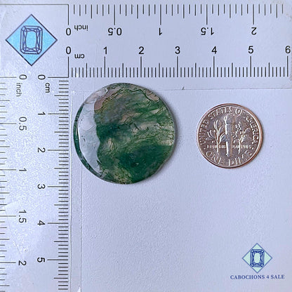 Cabujones redondos de ágata musgosa natural de 27 x 4 mm, disponibles para la venta en EE. UU.