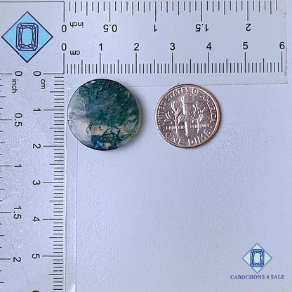 Cabujones redondos de ágata musgosa natural de 19 x 4 mm, de EE. UU., disponibles para la venta.