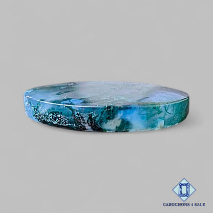 Cabujones redondos de ágata musgosa natural de 19 x 4 mm, de EE. UU., disponibles para la venta.
