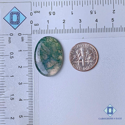 Natural Moss Agate Gemstone  Oval Cabochons 24*17*4mm from USA available for sale