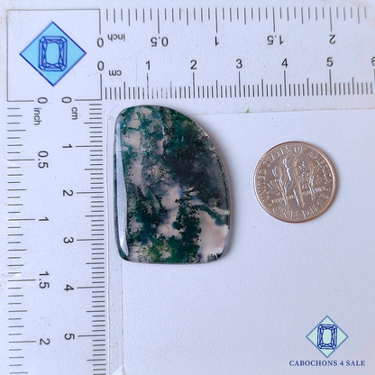 Moss Agate Fancy Cabochons