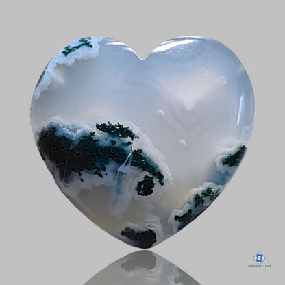 Moss Agate-c4sw1601-Heart-White-Cabochons