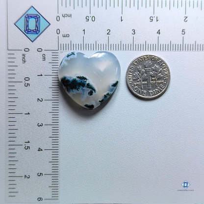 Moss Agate-Heart-Cabochons