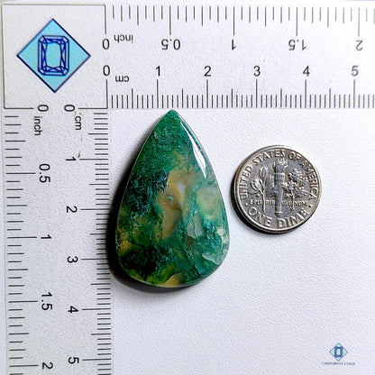 Moss Agate Pear Cabochons