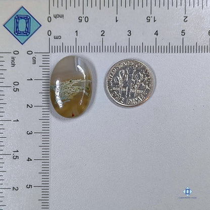 Moss Agate Oval Cabochons