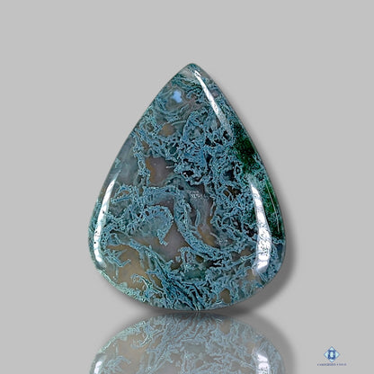 Moss Agate