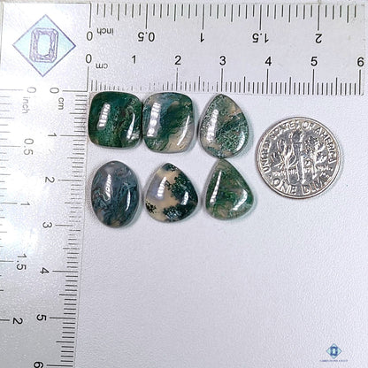 Moss Agate Mix_Shape Lots