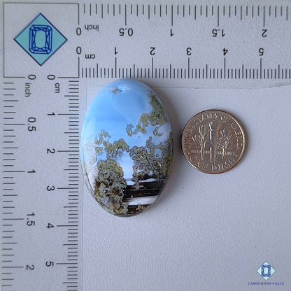 Moss Blue Opal