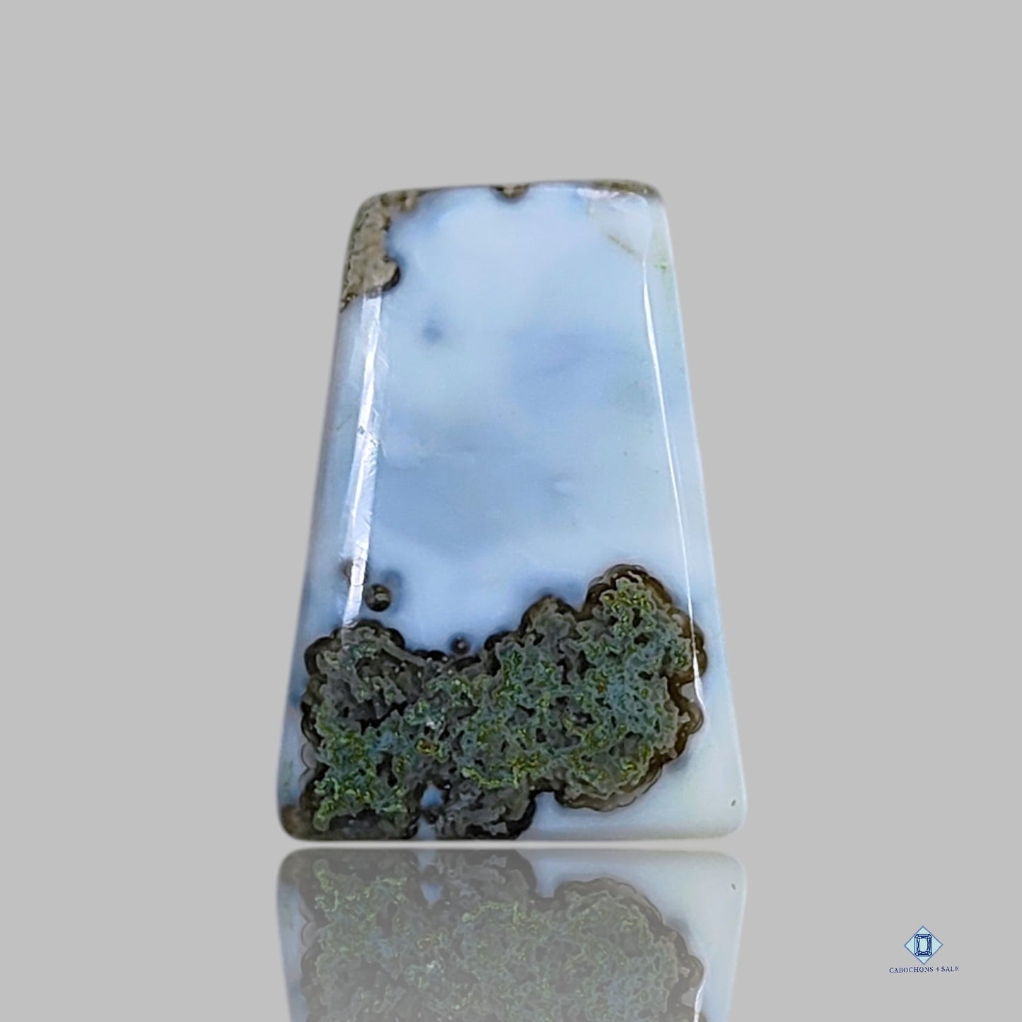 Moss With Blue Opal