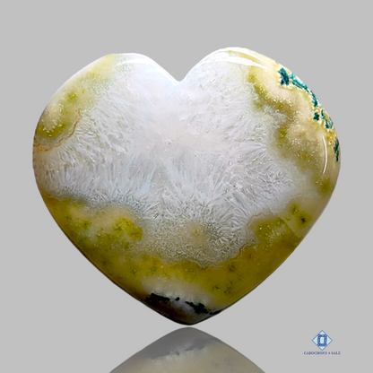 Moss agate-c4sw1586-Heart-white-cabochons