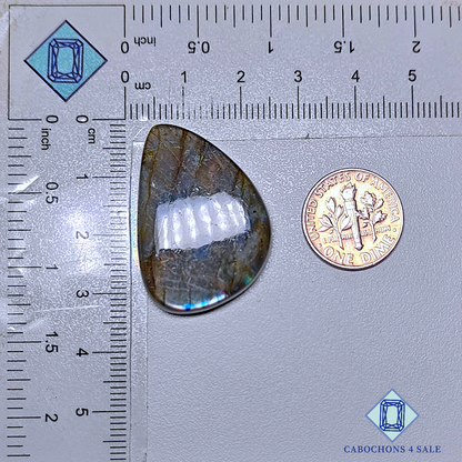 Multi Color Labradorite Fancy Cabochons 32*23*6mm