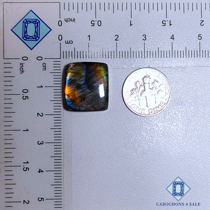 Multi Color Labradorite Fancy Cabochons 17*15*6mm