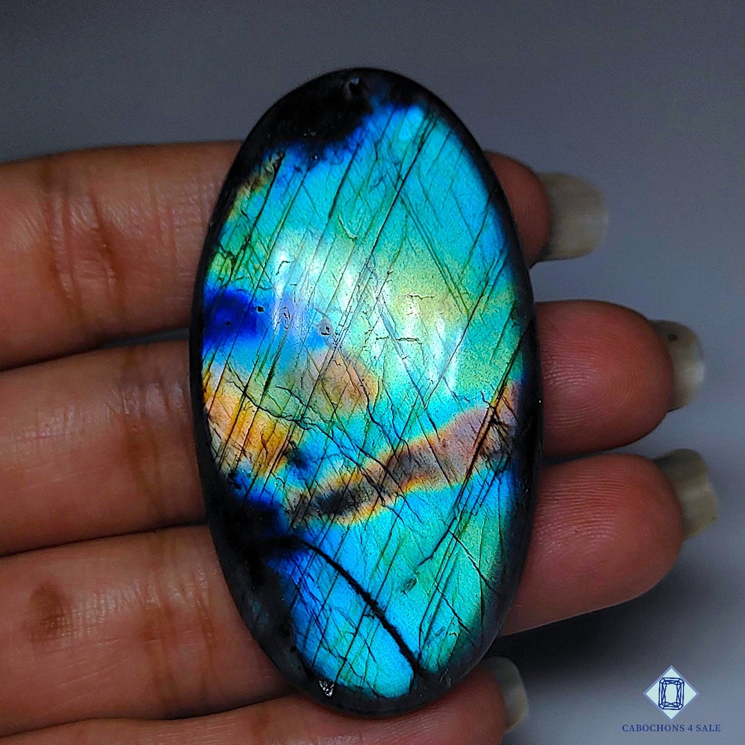 Multi Color Labradorite