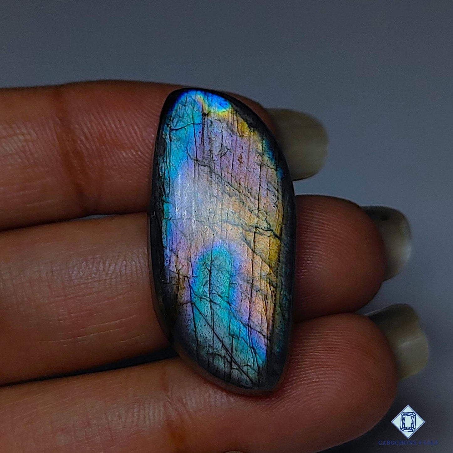 Multi Color Labradorite