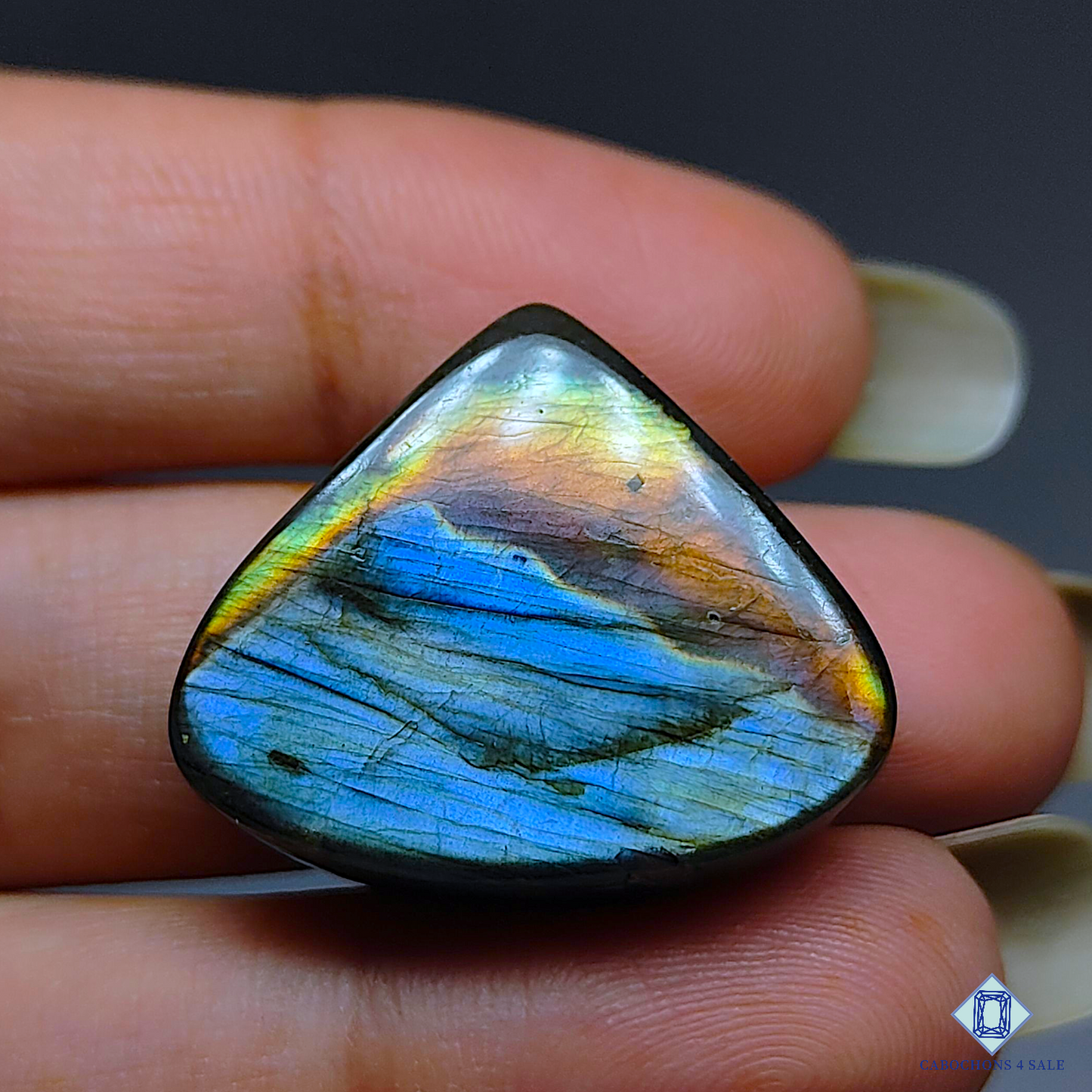 Multi Color Labradorite