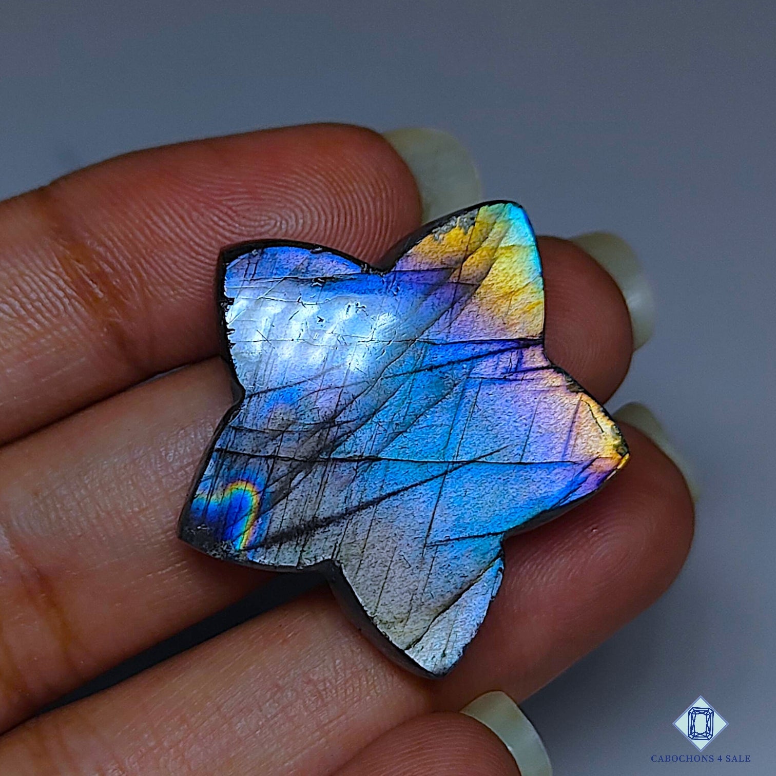 Multi Fire Labradorite