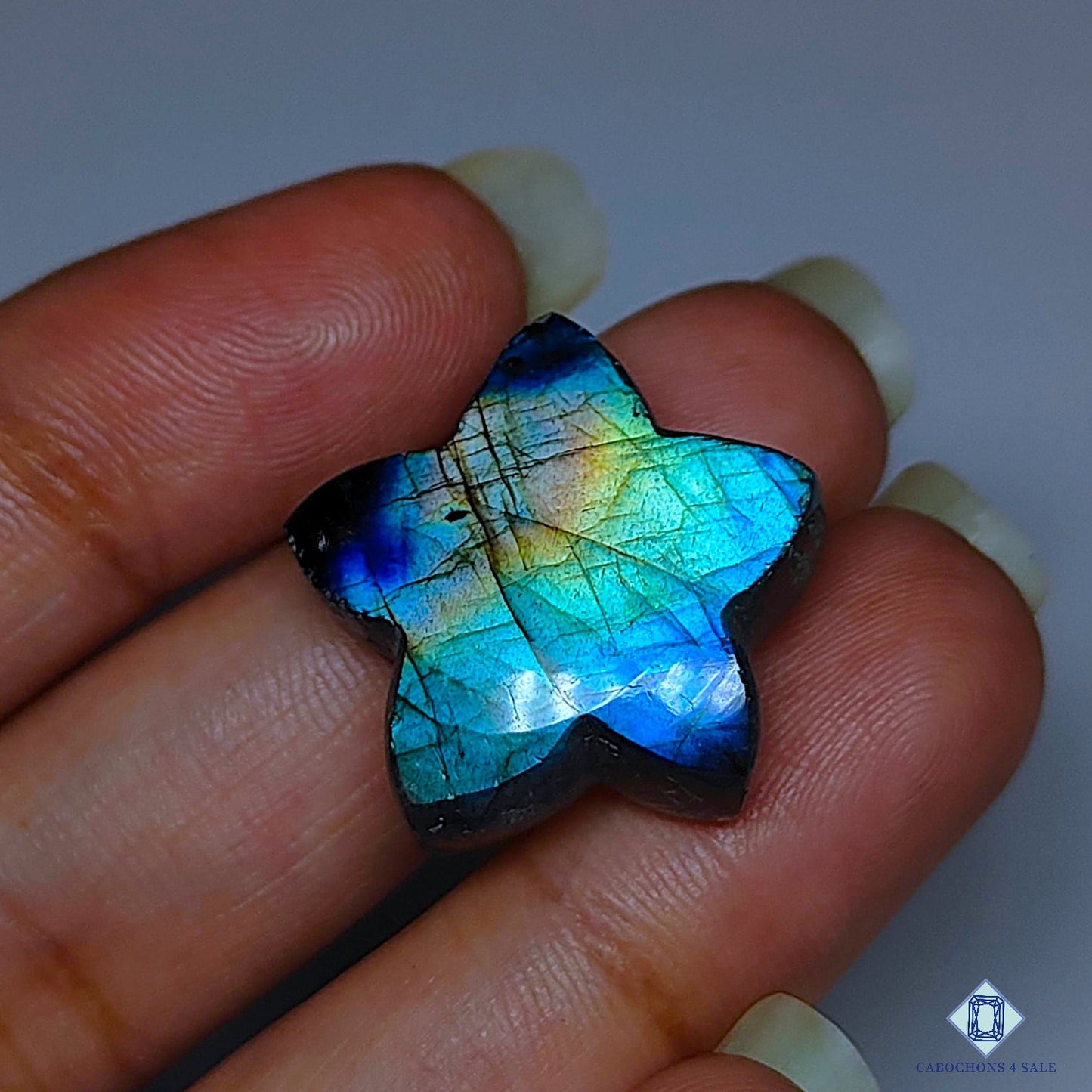Multi Fire Labradorite